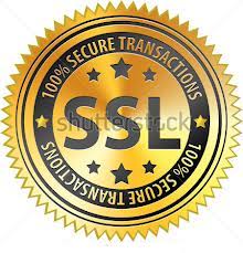 Secure Server Logo